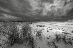 2022_09-untitled-shoot-2954