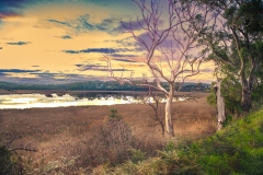 2022_09-untitled-shoot-3585