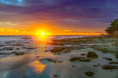 DJC7639-Edit