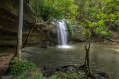 DJC_7679