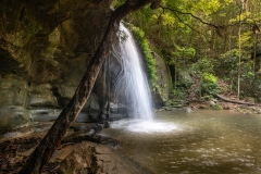 DJC_7693