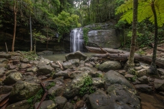 DJC_7713