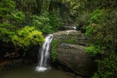 DJC_7753