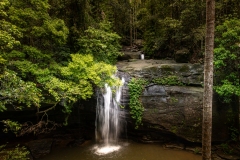 DJC_7755